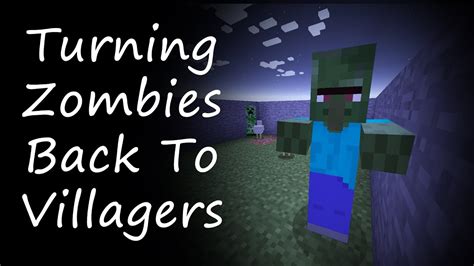 turn zombie villager back